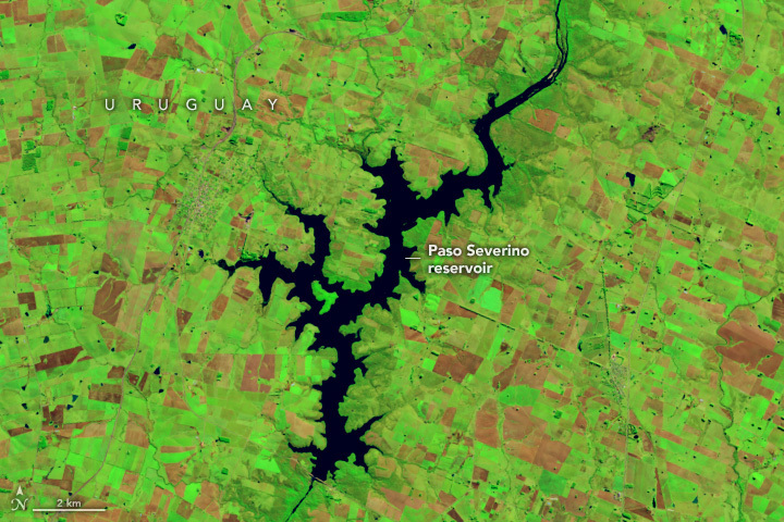 Reservoirs Run Dry in Montevideo - related image preview